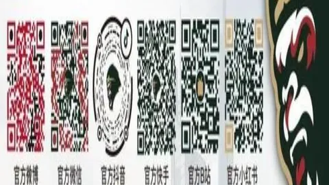 南球杯激战博卡青年迎战希金斯5战4中，独家攻略